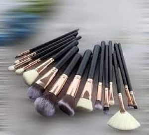 World Class Makeup Brushes Set