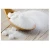 Import Refined Icumsa 45 Sugar/ Crystal White Sugar from Philippines