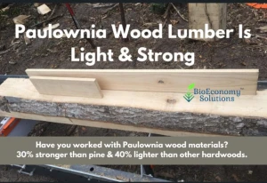 Paulownia Wood Lumber