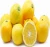 Import Premium Quality Fresh Citrus Fruits from South Africa