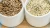 Import Hulled Hemp Seeds – Nutrient-Dense Plant-Based Superfood from South Africa
