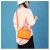 Import Custom Bag Women Handbags Leisure Crossbody Bag Girls Shoulder Bag Women Bag Small Messenger Bag from China