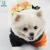 Import Fashion brand Halloween devil pumpkin shape warm pet clothes from China