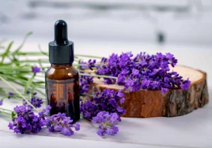 LAVENDER ESSENTIAL OIL