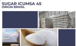 Refined Sugar ICUMSA 45