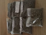 Green Coffee Beans