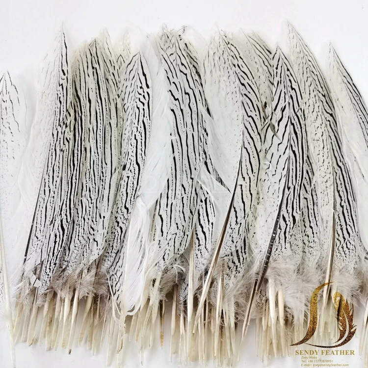10-12 inch Natural  White Silver Pheasant Tail Wholesale Pheasant Feathers party feather