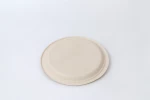 10 Inch Hot-Selling Party Tableware Bagasse Plate 100% Biodegradable Disposable Plate