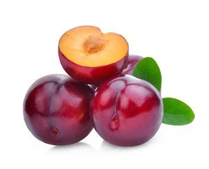 100% Top Quality Organic Fresh and Dried Black Plums