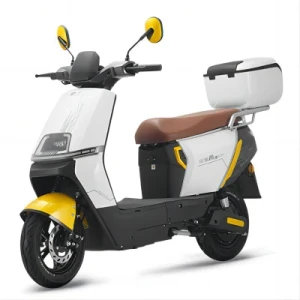 1000 W-1200 W High Powerful Motor Big Wheel Electric Scooter