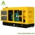 Import 10KW to 1000KW nature gas biomass biogas gas generator from China