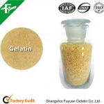 160 bloom Paintball gelatin,Paintball Accessories for Shooting Sports/CS sports