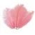 Import 2019 hot directly sale ostrich feather supplier feather ostrich white /feather trim ostrich from China