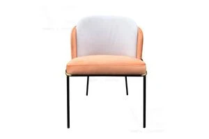 2019 New design dining room velvet furniture restaurant dining chair