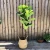 Import 2020 hot sale Artificial Plants Indoor Potted Plant Fiddle Leaf Fig Tree Ficus Lyrata Eco-Friendly PEVA from China