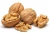 Import 2020 latest cheap high quality thin-skin walnut wholesale walnuts from China