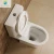 2020 P-trap Drainage Pattern Siphonic Flushing Sanitary Ware Wall Hanging Toilet Seat
