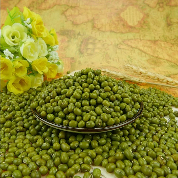 2020 wholesale Green mung beans for sprouting