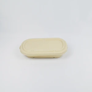 2021 Hot Sale Wholesale fast food box recyclable material packing box