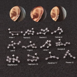 2021 New Arrival Jewelry Stainless Steel Ear Piercing Jewelry Screw Back Stud Earring