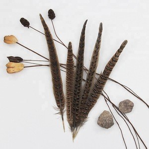 4-8 Inch(10-20 cm)Wholesale High Quality Dark Color Natural Female Pheasant Tail Carnival Feathers for Decoration