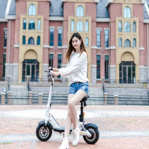 48V 500W 12Ah li-on battery big power electric scooter long range for adults with seat model S1
