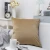 Import 50 colors latest design velvet smooth cushion cover home decor from China