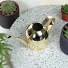 500ML Gold Small Metal Indoor Outdoor Garden Tools Cylinder Plants Watering Can/Pots