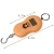 Import 50kg portable digital fishing luggage weighing scale with tape measure from China
