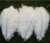 Import 6-32 inches any color artificial feathers synthetic ostrich feathers from China