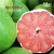 Import A4 FRUIT - Fresh Red Pomelo / Grapefruit / Citrus (Ruby of Siam) Premium origin fruit of Thailand from Thailand