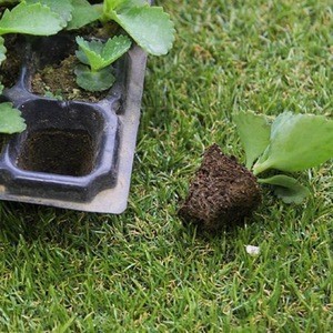 Acuaponics Hydroponic Plastic Grow Tray for Garden Planting Nursery Trays