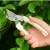 Import Adjustable Handle Gardening Hand Pruner Pruning Shear with Straight Stainless Steel Blades Tree Cutter Branch Scissors from China