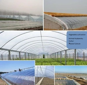 Agricultura plant growing pe l 200 micron plastic greenhouse covering film