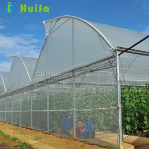 Agricultural Low Cost Plastic Film Covered Sawtooth Greenhouse