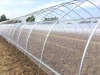 agriculture used single-span greenhouse material steel frame greenhouse structure with hydroponic system