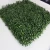 Import anti uv  plastic Vertical garden Green artificial  plant Wall from China