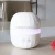 Import aromatherapy essential oil diffuser from China