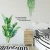Import Art decoration decals English green plant home sticker living room decoration decal pvc sticker from China