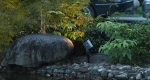 Attractive Price 10W Aluminum Waterproof Led Spot Garden Spike Light