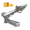 Automatic Canned Fruit Cucumber Artichoke Lychee Olive Apricot Processing Line