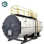 Import Automatic WNS Oil and Gas Dual Fuel Fired Boiler from China
