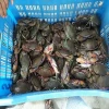 Bangladeshi Crab