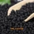 Import Best Fertilizer For Plants Nano Agricultural Raw Fertilizers Can Advance Fertilized Soil from China