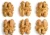 Import Best Price Oganic Walnuts with Thin Shell Or Kernel without Shell Price China from China