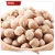 Import Best Quality Dried Kabuli Chickpeas from Thailand