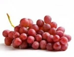 Best quality Fresh Grapes for sale