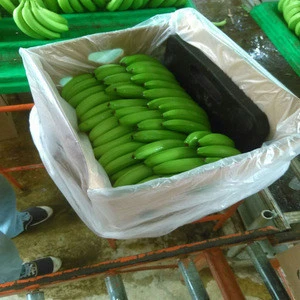 Best Selling Fresh Cavendish Banana ,High Quality