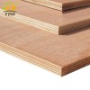 Best selling high quality sawn timber paulownia wood price