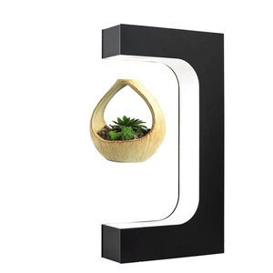 Best selling products amazing gadgets new items idea unique plants bonsai magnetic levitation pot